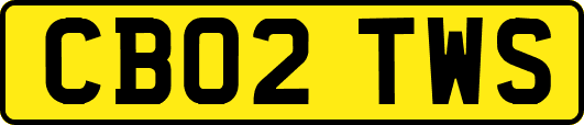 CB02TWS