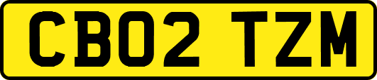 CB02TZM