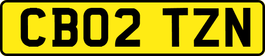 CB02TZN
