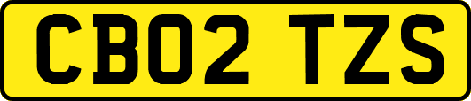 CB02TZS