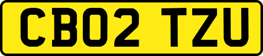 CB02TZU
