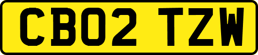 CB02TZW