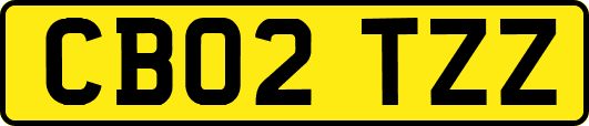 CB02TZZ