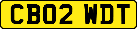 CB02WDT