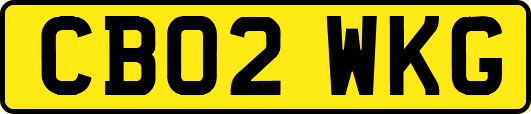 CB02WKG