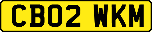 CB02WKM
