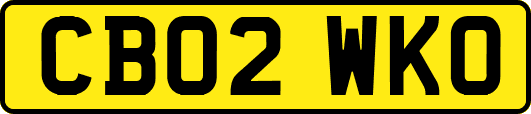 CB02WKO