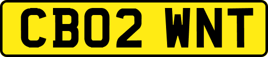 CB02WNT