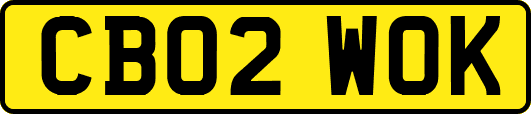 CB02WOK
