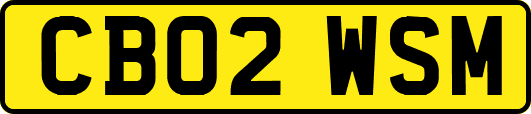 CB02WSM