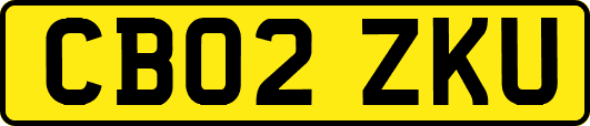 CB02ZKU