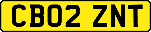 CB02ZNT