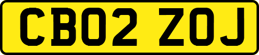 CB02ZOJ