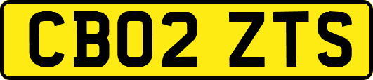 CB02ZTS
