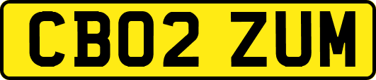CB02ZUM