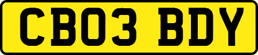 CB03BDY