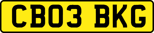 CB03BKG