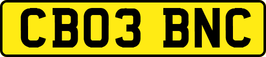 CB03BNC