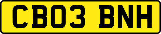 CB03BNH