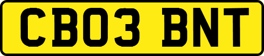 CB03BNT