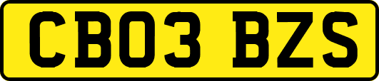 CB03BZS