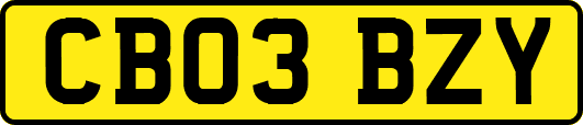 CB03BZY