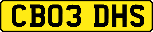 CB03DHS