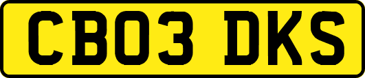 CB03DKS