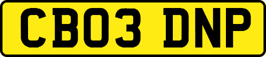 CB03DNP