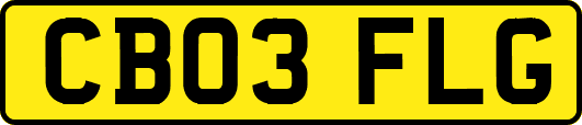 CB03FLG