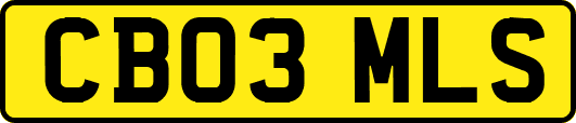 CB03MLS