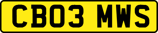 CB03MWS