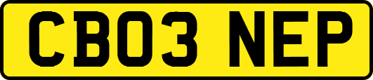CB03NEP