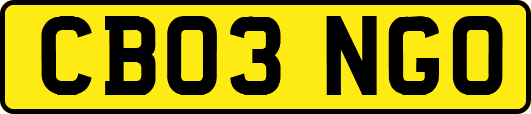 CB03NGO