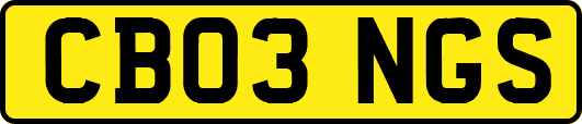 CB03NGS