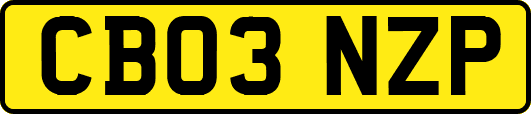 CB03NZP