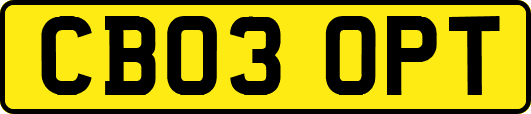 CB03OPT