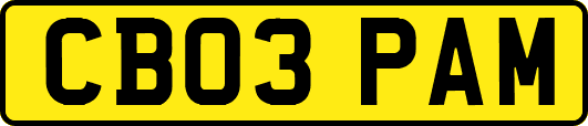 CB03PAM