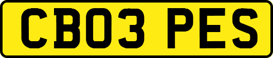 CB03PES