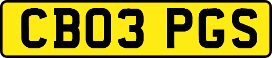 CB03PGS