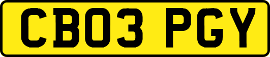 CB03PGY