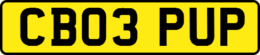 CB03PUP