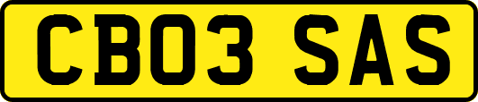 CB03SAS