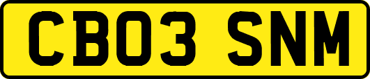 CB03SNM