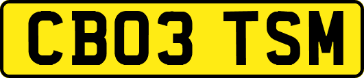 CB03TSM