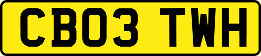 CB03TWH