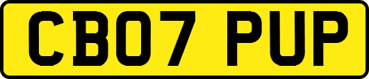 CB07PUP