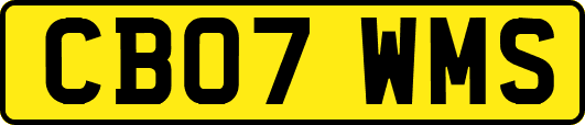 CB07WMS
