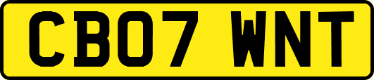 CB07WNT