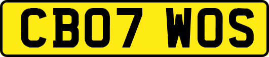 CB07WOS